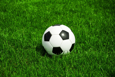 体彩足球比分奖金倍率查询工具界面展示